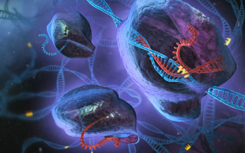 Ilustración artística do funcionamento de CRISPR. Autor: Stephen Dixon.