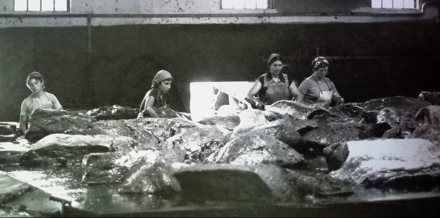 Junquera Domínguez Senlle, María Jesús Beiro, Angélica Outes Carballo e Maruja do Carteiro, en 1981, cortando carne de balea. Arquivo de Álex Aguilar.